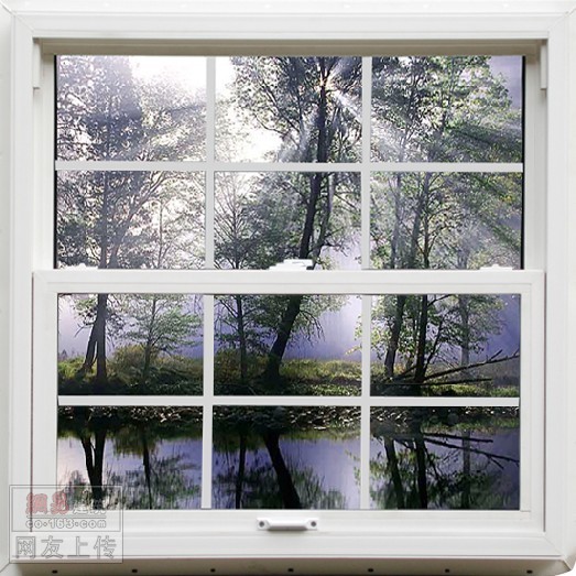 vinyl windows</